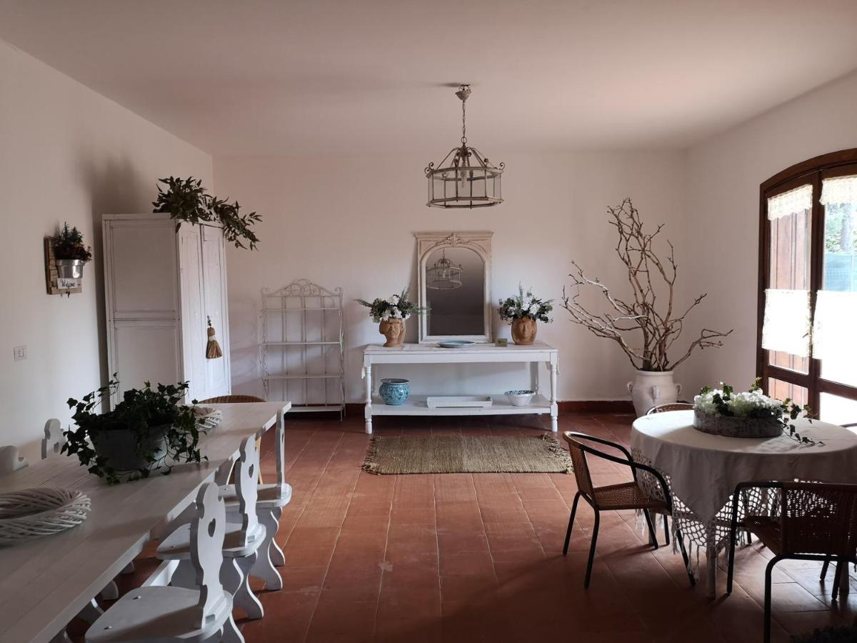 Bed and Breakfast Casa Degli Ulivi Etna Ragalna Zewnętrze zdjęcie